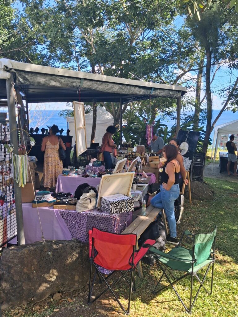 Exposants et visiteurs du Parcours des Fées à Saint-Pierre, La Réunion