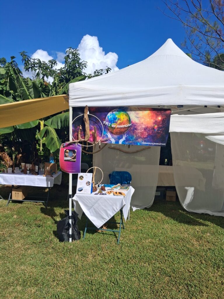 Exposants et visiteurs du Parcours des Fées à Saint-Pierre, La Réunion