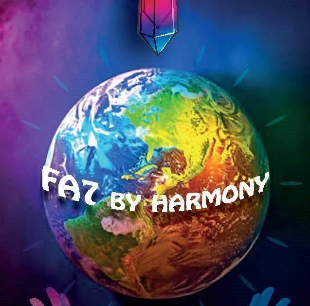 Ludovic — Fa7 Harmony — partenaire du Parcours des Fées à Saint-Pierre, La Réunion